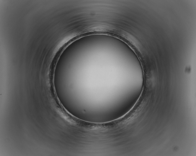 X0000094971026200712061423