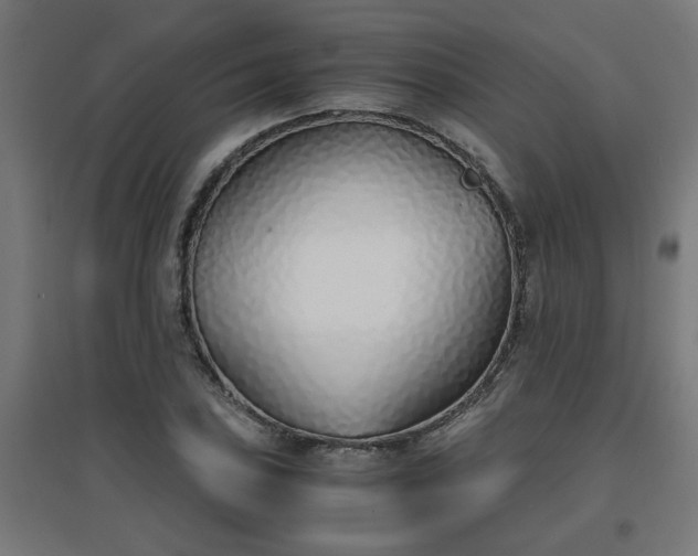 X0000094971027200712061423