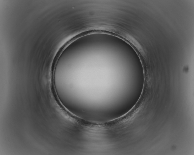 X0000094971028200712061423