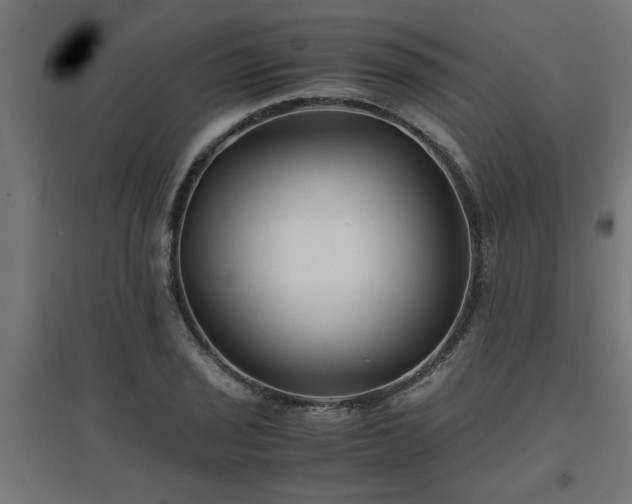 X0000094971029200712061423