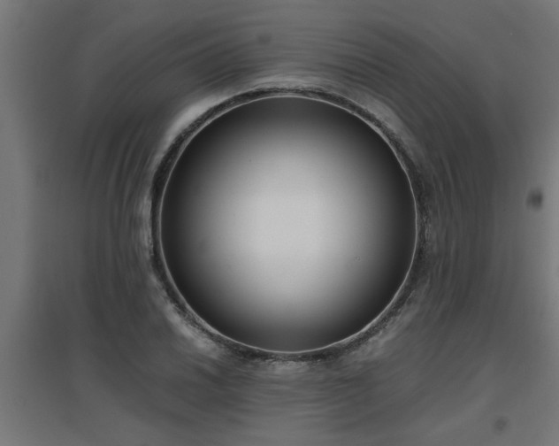 X0000094971030200712061423