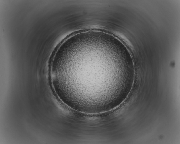 X0000094971031200712061423