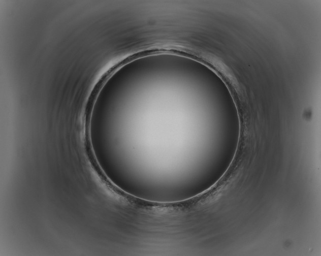 X0000094971032200712061423