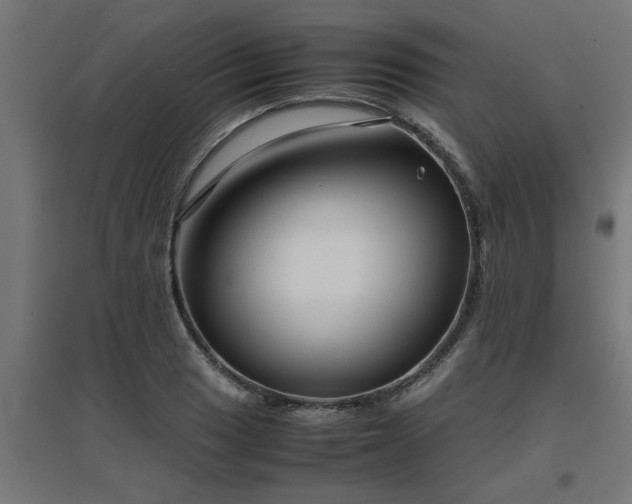 X0000094971033200712061423