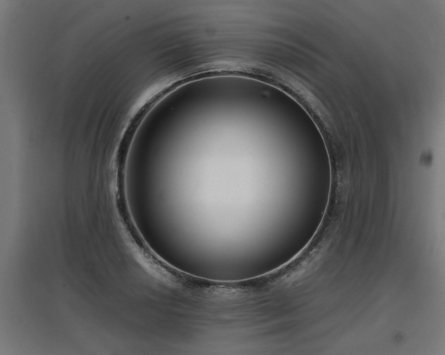 X0000094971034200712061423