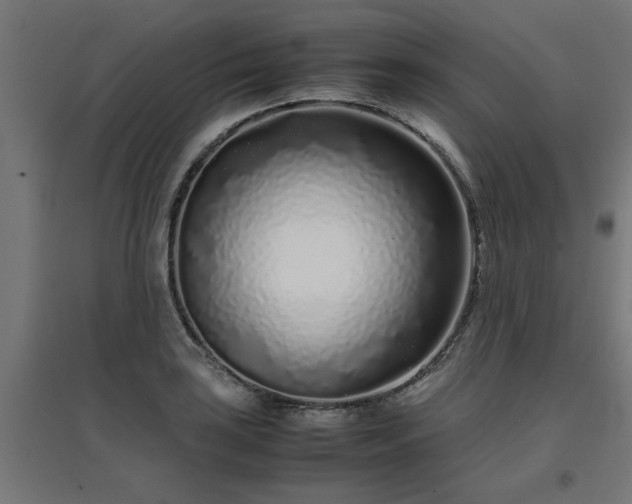 X0000094971035200712061423