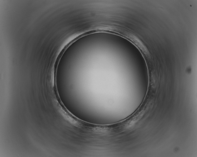 X0000094971036200712061423