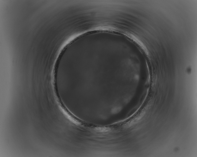 X0000094971037200712061423