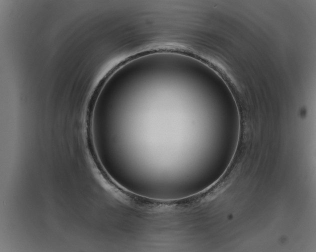 X0000094971038200712061423