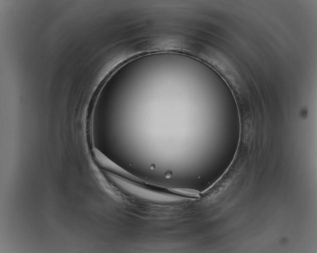 X0000094971039200712061423