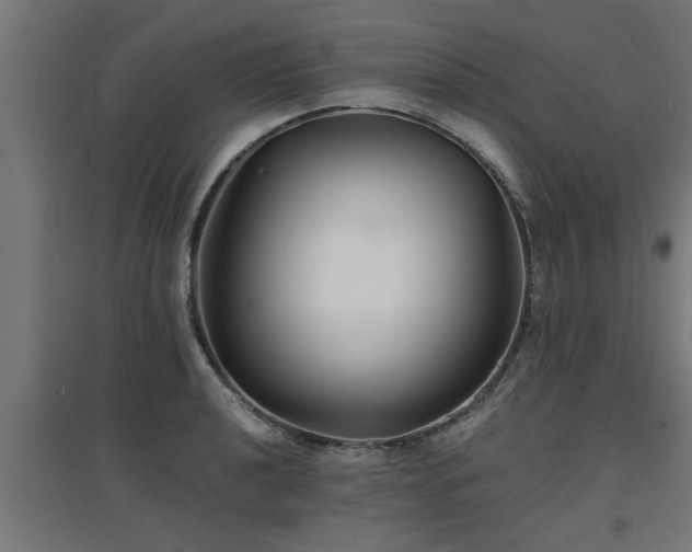 X0000094971040200712061423