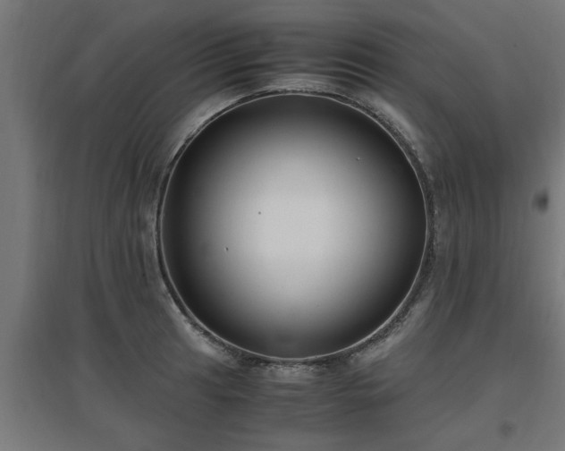 X0000094971041200712061423