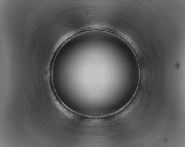 X0000094971042200712061423