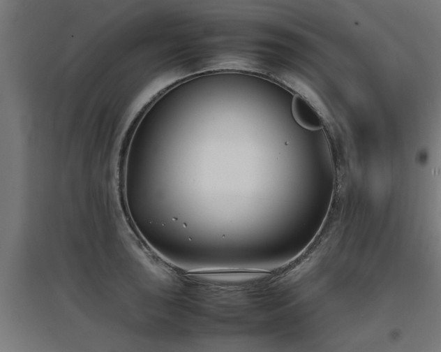 X0000094971043200712061423