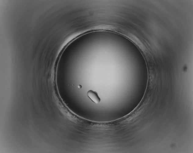 X0000094971044200712061423