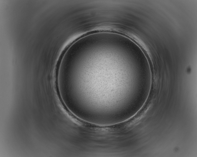 X0000094971045200712061423