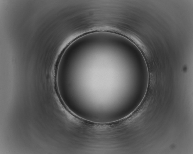 X0000094971046200712061423