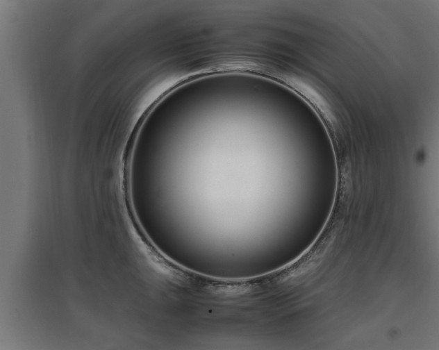 X0000094971047200712061423