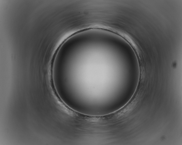 X0000094971048200712061423