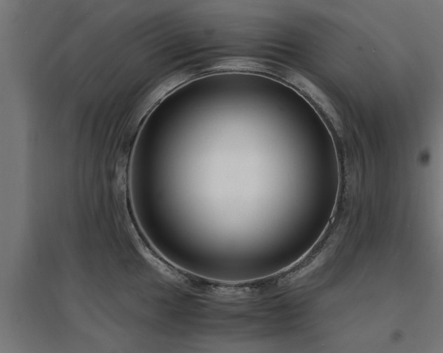 X0000094971049200712061423