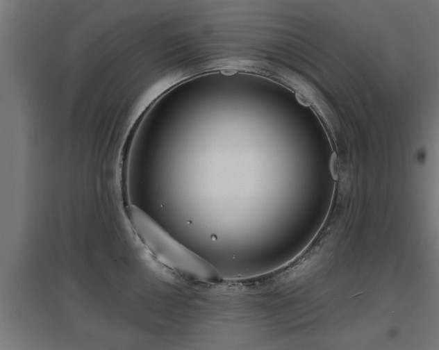 X0000094971050200712061423