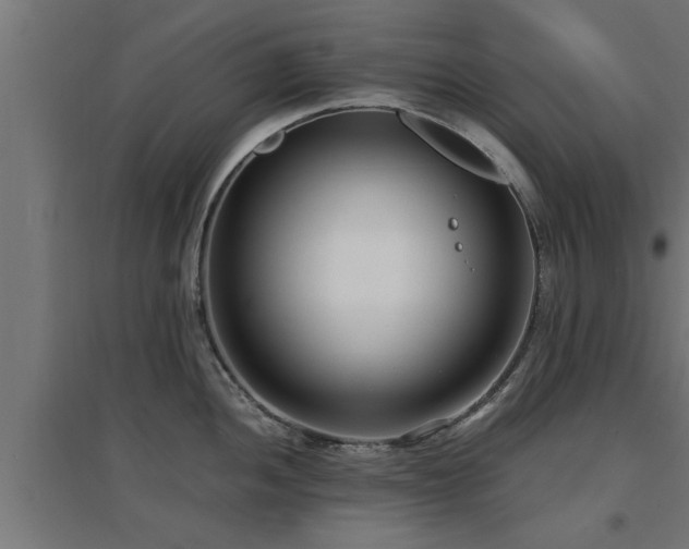 X0000094971052200712061423