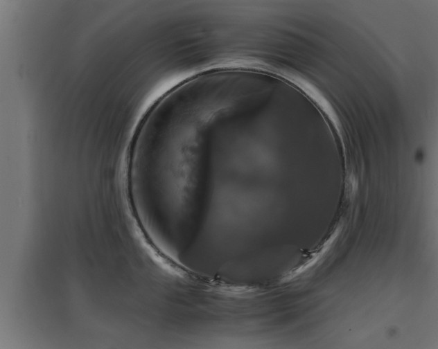 X0000094971053200712061423