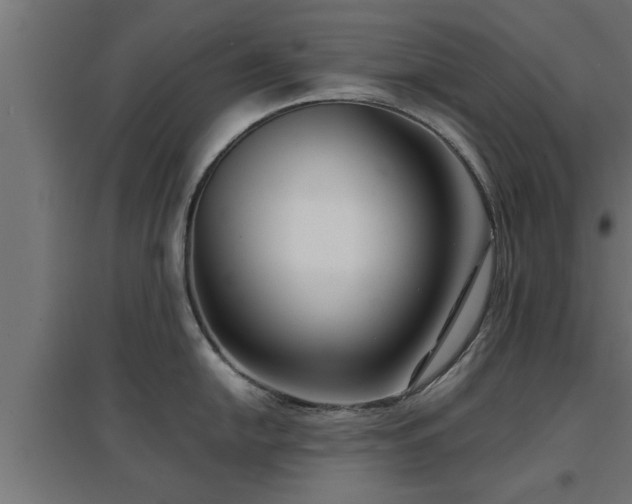 X0000094971054200712061423