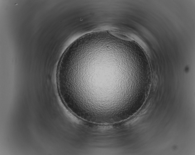 X0000094971055200712061423