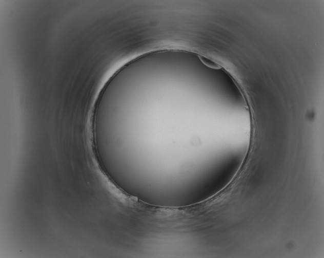 X0000094971056200712061423