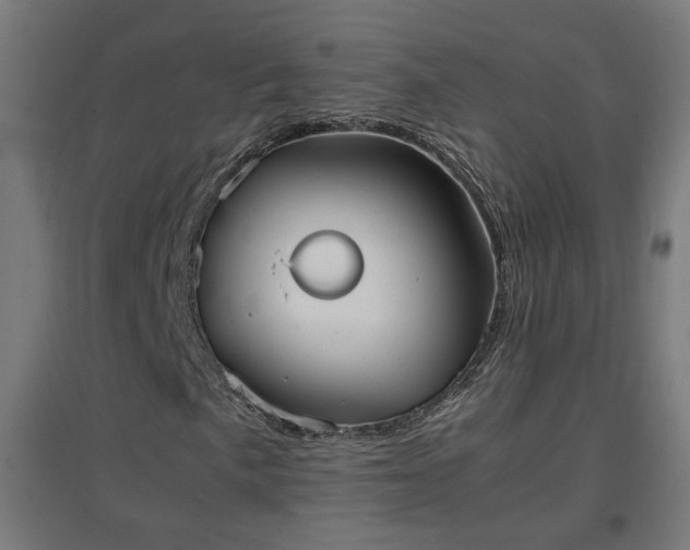 X0000094971057200712061422