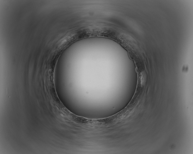 X0000094971059200712061422