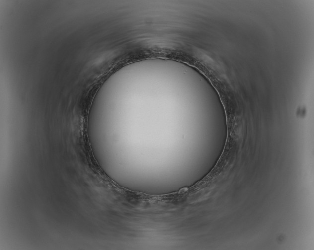 X0000094971061200712061422