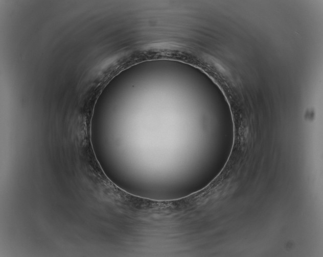 X0000094971062200712061422