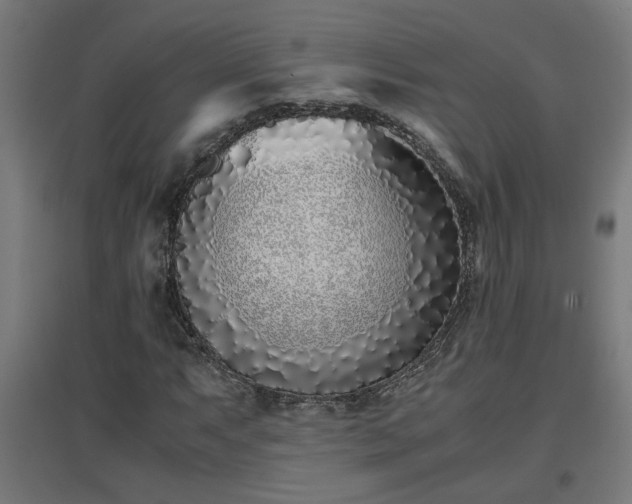 X0000094971063200712061422