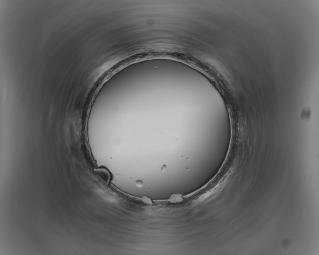 X0000094971065200712061422