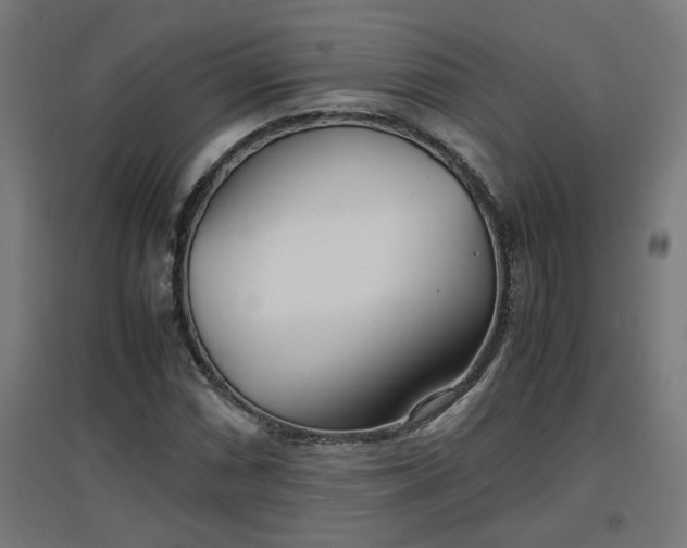 X0000094971066200712061422