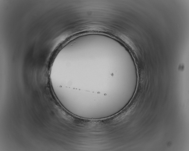 X0000094971067200712061422