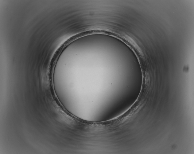 X0000094971068200712061422