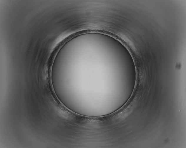 X0000094971070200712061422