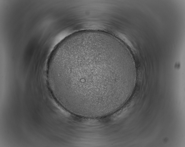 X0000094971071200712061422
