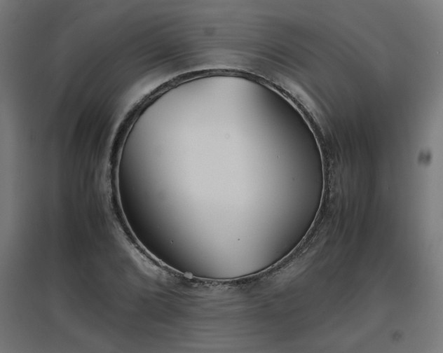 X0000094971072200712061422