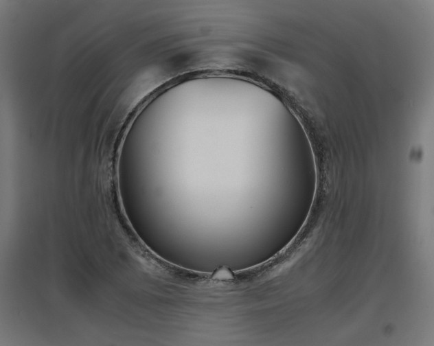 X0000094971073200712061422