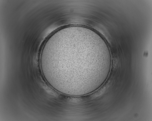 X0000094971074200712061422