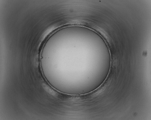 X0000094971075200712061422