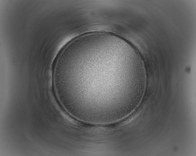 X0000094971079200712061422