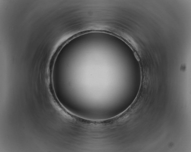 X0000094971080200712061422