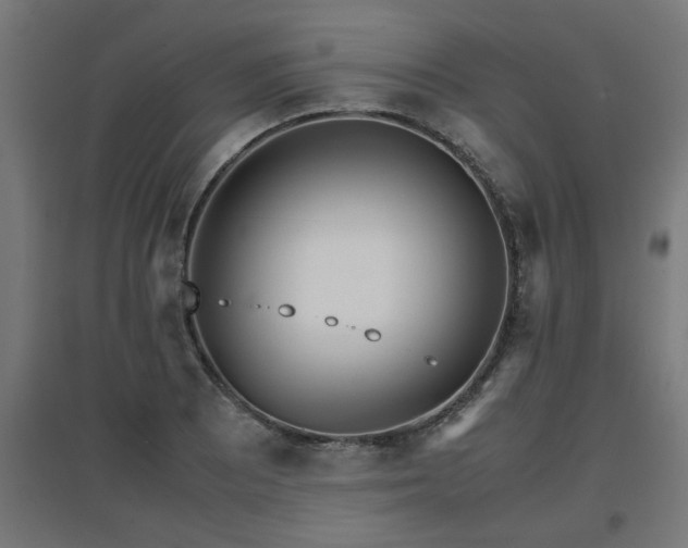 X0000094971081200712061422