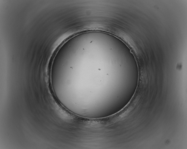 X0000094971082200712061422