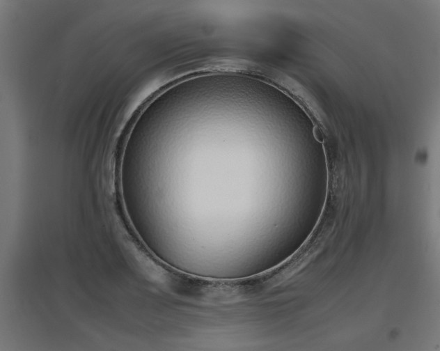 X0000094971083200712061422